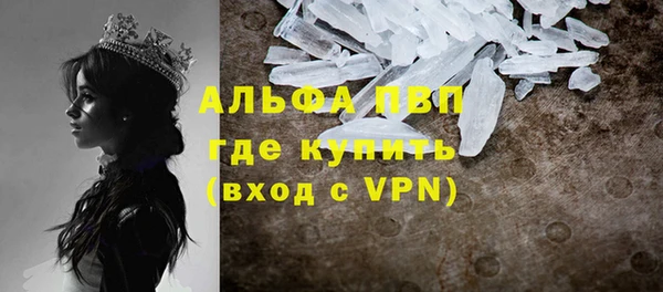 шишки Новозыбков