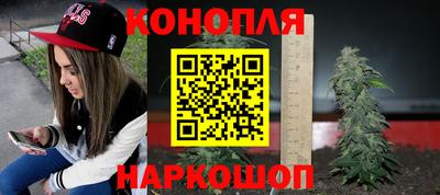 СК Жуковский