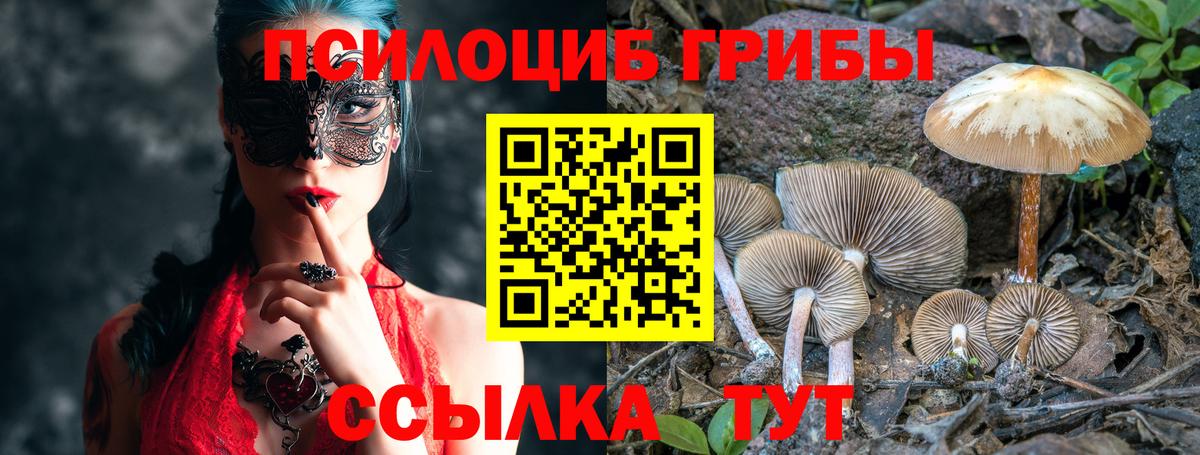 Псилоцибиновые грибы прущие грибы  Вход с VPN  Когалым 
